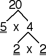 Y7-Number_Type-factortree20.gif