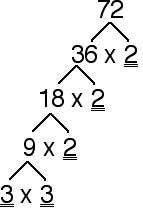 Y7-Number_Type-factortree72.gif